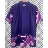 2025/26 Lille Special Edition Fans Soccer jersey