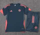 2025/26 Bayern Gray Training Shorts Suit