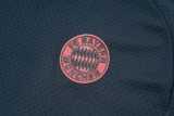 2025/26 Bayern Gray Training Shorts Suit