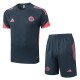 2025/26 Bayern Gray Training Shorts Suit