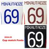 2025/26 Lyon 3RD Gray Fans Soccer jersey
