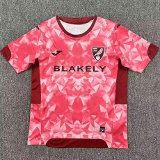 2025/26 Norwich City 3RD Pink Fans Soccer jersey