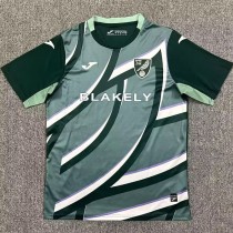 2025/26 Norwich City Away Green Fans Soccer jersey