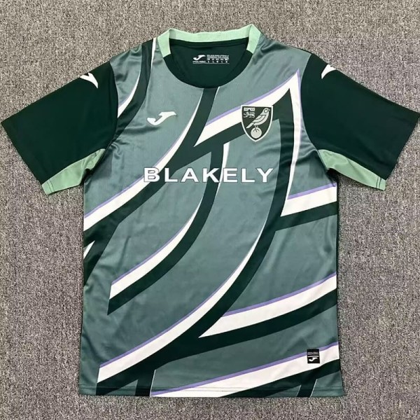 2025/26 Norwich City Away Green Fans Soccer jersey