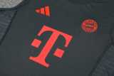 2025/26 Bayern Black Training Shorts Suit