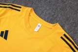 2025/26 Boca Juniors Yellow Training Shorts Suit