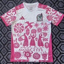 2025 Mexico Pink Training Shirts