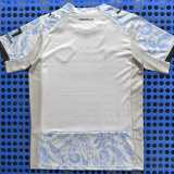 2025/26 US Citta di Palermo 3RD White Fans Soccer jersey