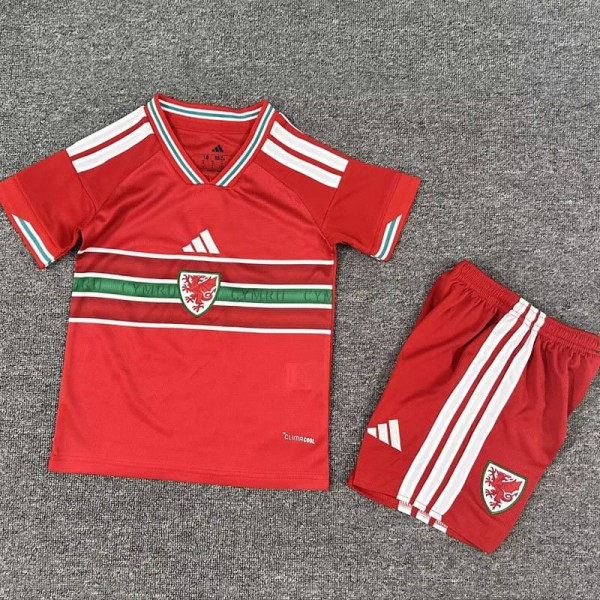 2026 Wales Home Red Fans Kids Soccer jersey