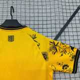 2025/26 Dynamo Dresden Special Edition Yellow Fans Soccer jersey
