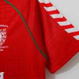 1988/89 AFC Wimbledon Away Red Retro Soccer jersey