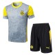 2025/26 Dortmund Gray Training Shorts Suit