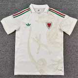 2026 Wales Away White Fans Soccer jersey