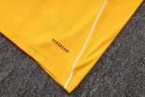 2025/26 Boca Juniors Yellow Training Shorts Suit