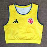 2026 Colombia Yellow Training Shirts