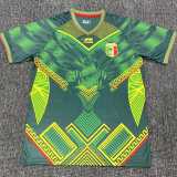 2025 Mali Away Green Fans Soccer jersey