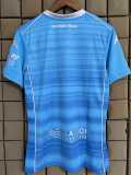 2025/26 Fiorentina 3RD Azure Fans Soccer jersey
