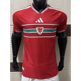 [PLAYER] 2026 Wales Home Red Player Soccer jersey
