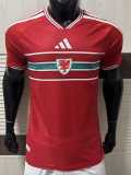 [PLAYER] 2026 Wales Home Red Player Soccer jersey