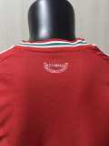 [PLAYER] 2026 Wales Home Red Player Soccer jersey