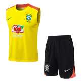 2025 Brazil Yellow Training Shorts Suit