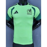 2026 Mexico Light Green Player Training Shirts