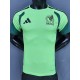 2026 Mexico Light Green Player Training Shirts