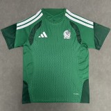 2026 Mexico Green Training Shirts