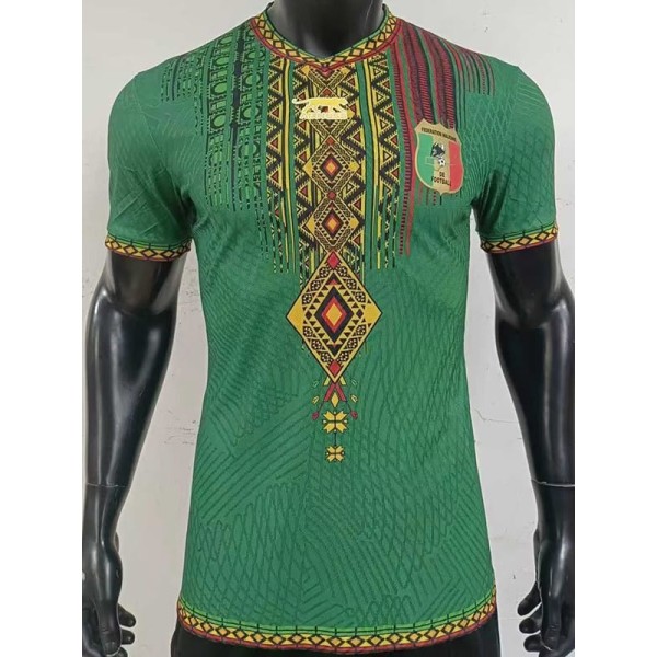 [PLAYER] 2026 Mali Special Edition Green Player Soccer jersey