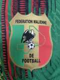 [PLAYER] 2026 Mali Special Edition Green Player Soccer jersey
