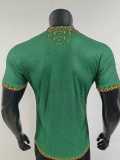 [PLAYER] 2026 Mali Special Edition Green Player Soccer jersey