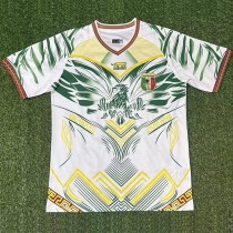 2026 Mali Special Edition White Fans Soccer jersey