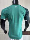 [PLAYER] 2026 Northern Ireland Home Green Player Soccer jersey
