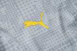 2025/26 Dortmund Gray Half Pull Tracksuit