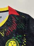 [PLAYER] 2026 Cameroon 3RD Black Player Soccer jersey