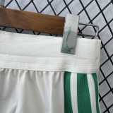 [PLAYER] 2026 Algeria Home Player Soccer Shorts