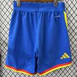 [PLAYER] 2026 Colombia Special Edition Blue Player Soccer Shorts