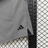 AD Gray Shorts Pants