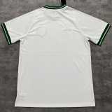 26/27 Celtic Commemorative Edition 60th Anniversary Fans Soccer jersey