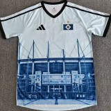 2025/26 Hamburger SV Special Edition Fans Soccer jersey