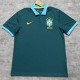 2026 Brazil Polo Jersey