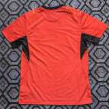 2026 Ghana Special Edition Fans Soccer jersey