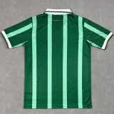 2025/26 Aston Villa Special Edition Green Fans Soccer jersey