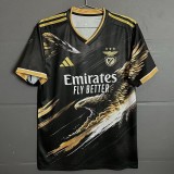 2025/26 Benfica Special Edition Fans Soccer jersey
