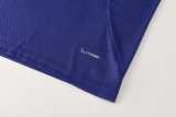 2026 Japan Fancy blue Training Shorts Suit