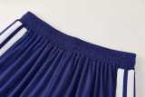 2026 Japan Fancy blue Training Shorts Suit