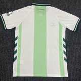 26/27 SV Werder Bremen Special Edition White Green Fans Soccer jersey