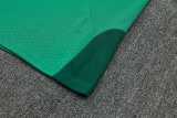 2026 Algeria Green Training Shorts Suit