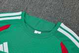 2026 Algeria Green Training Shorts Suit