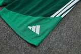 2026 Algeria Green Training Shorts Suit